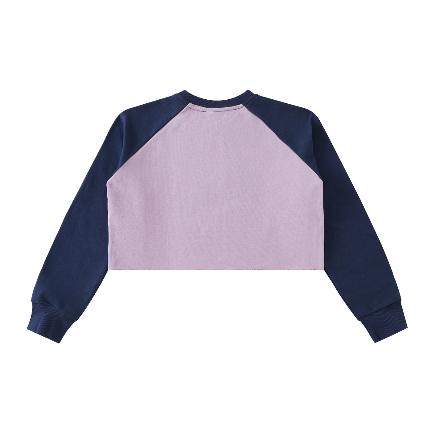 Stolo Clothing Co Essentials Raw-Hem Cropped Heavyweight Tee