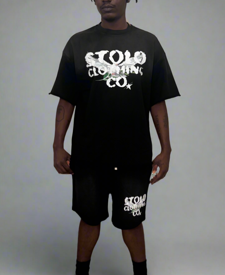 Stolo Clothing Co Birdies Sun Faded Raw Edge Tee