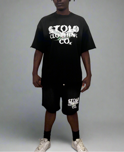 Stolo Clothing Co Birdies Sun Faded Raw Edge Tee