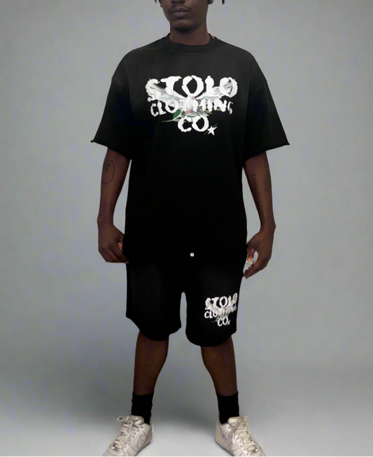 Stolo Clothing Co Birdies Sun Faded Raw Edge Tee