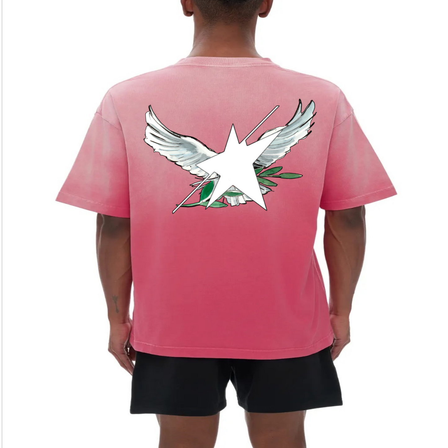 Stolo Clothing Co Birdies Minimalistic Hand-Frayed Sunfaded Tee [ BLACK , PINK & BLUE ]