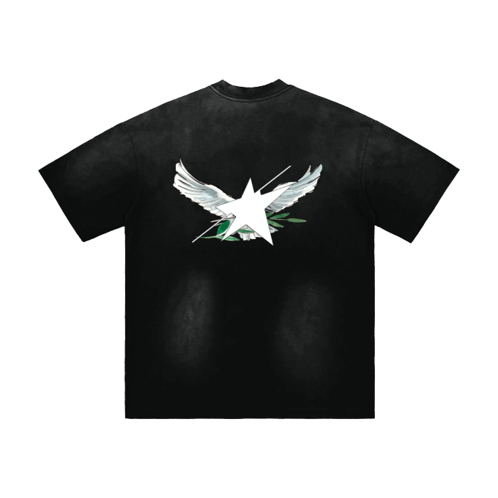 Stolo Clothing Co Birdies Minimalistic Hand-Frayed Sunfaded Tee [ BLACK , PINK & BLUE ]