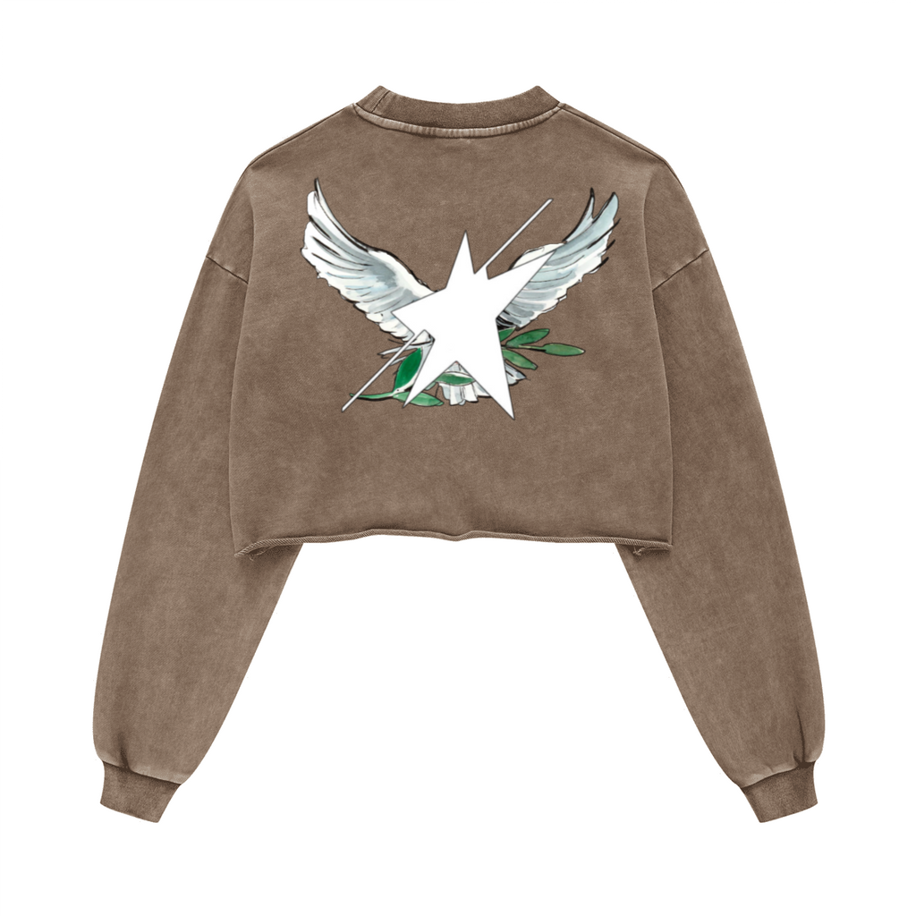 Stolo Clothing Co Birdies Washed Raw-Edge Cropped Heavyweight Tee