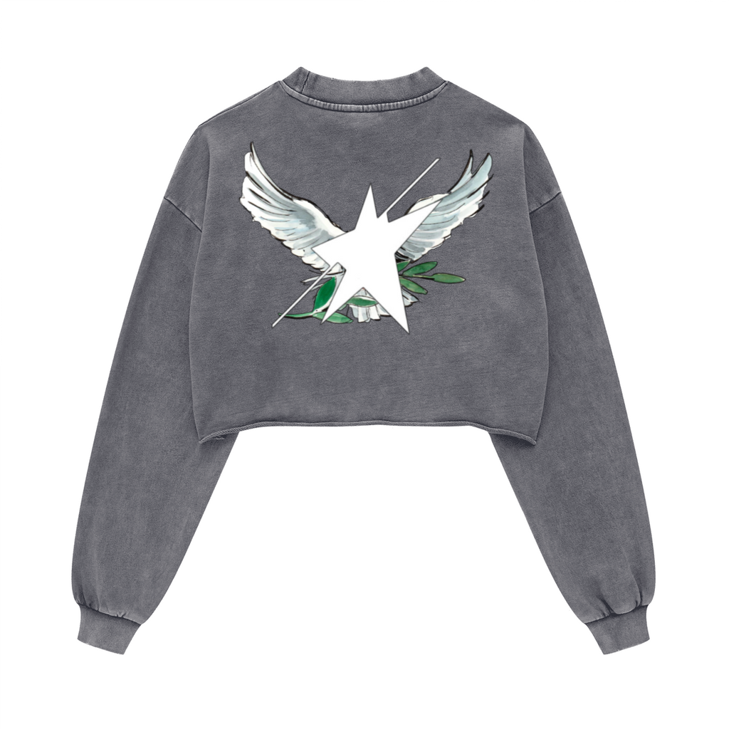 Stolo Clothing Co Birdies Washed Raw-Edge Cropped Heavyweight Tee