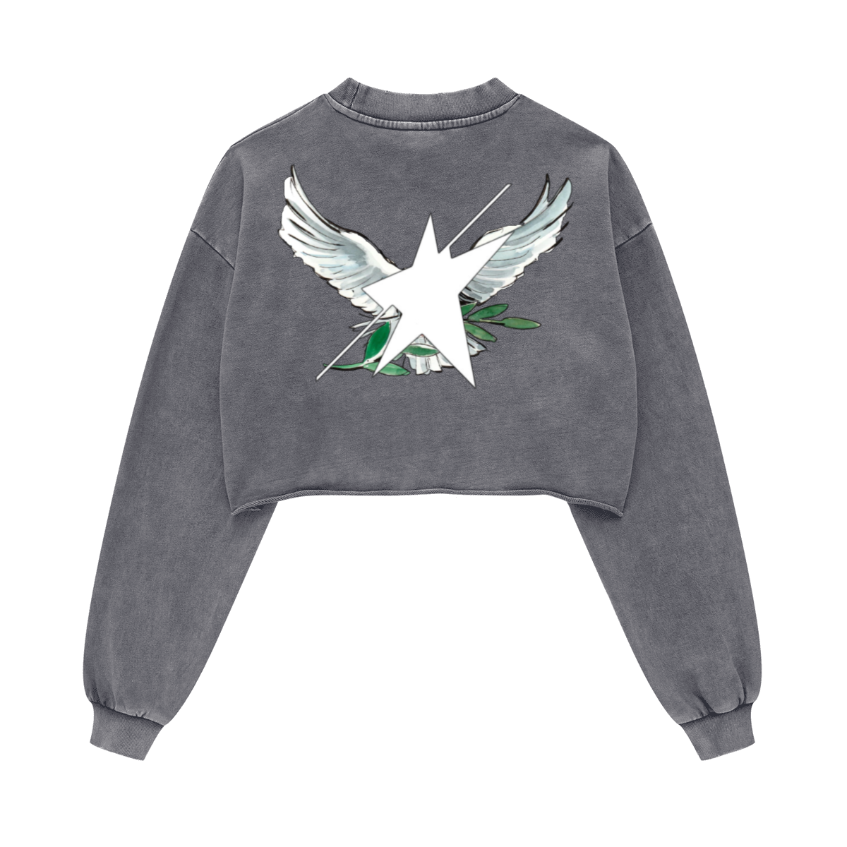 Stolo Clothing Co Birdies Washed Raw-Edge Cropped Heavyweight Tee