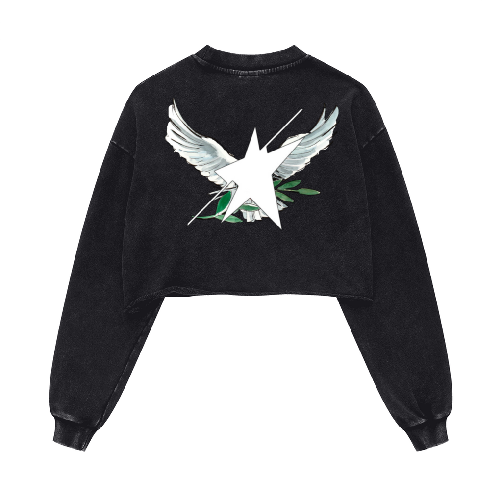 Stolo Clothing Co Birdies Washed Raw-Edge Cropped Heavyweight Tee