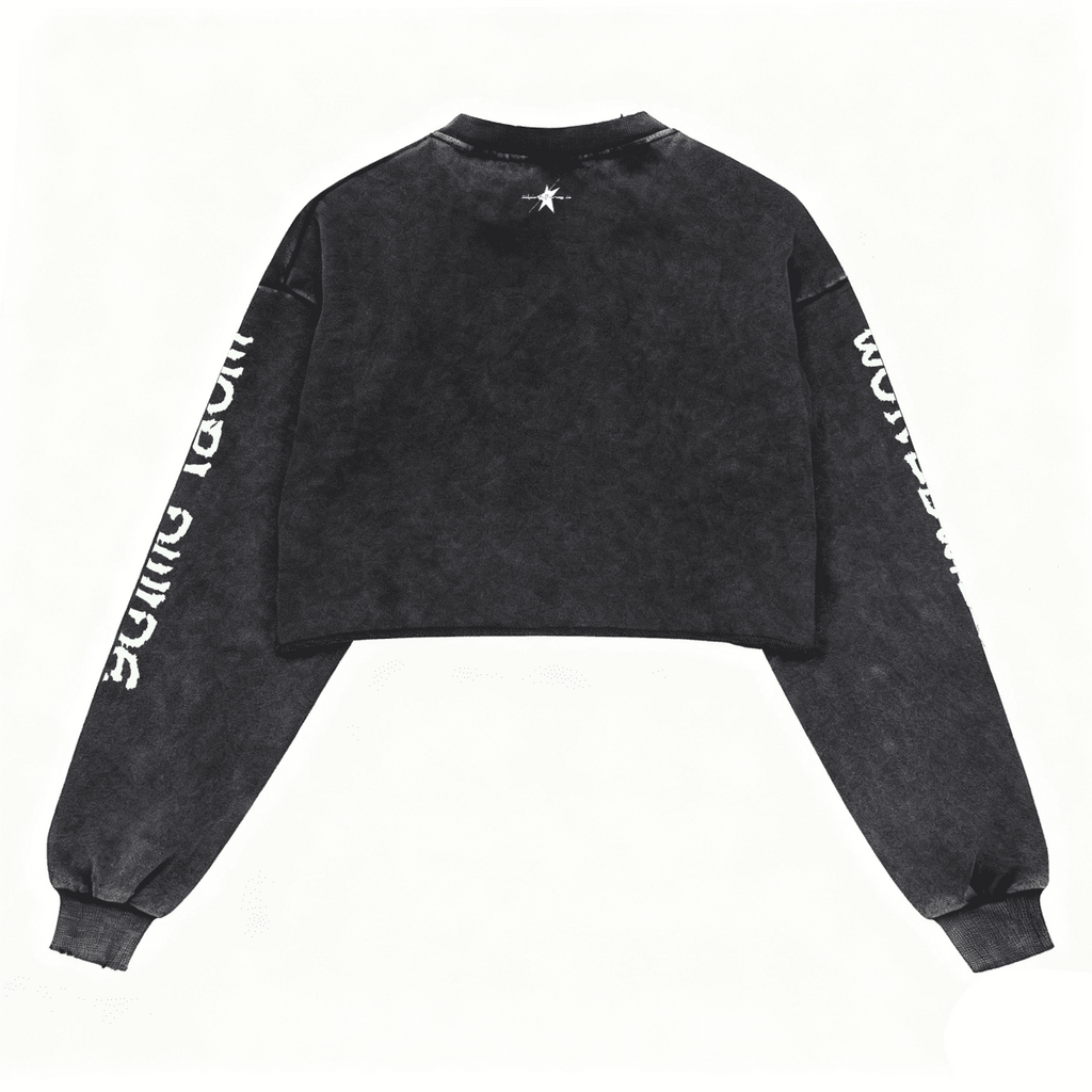 Stolo Clothing Co STARCHILD X WORLD WIDE Distressed Sun Faded Heavyweight Long Sleeve Crop Tee