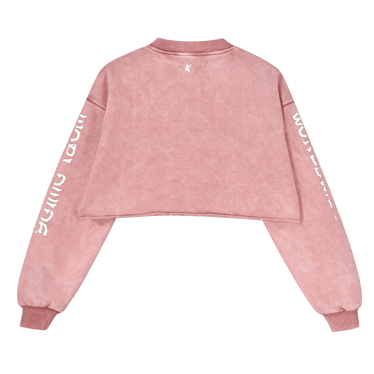 Stolo Clothing Co STARCHILD X WORLD WIDE Distressed Sun Faded Heavyweight Long Sleeve Crop Tee