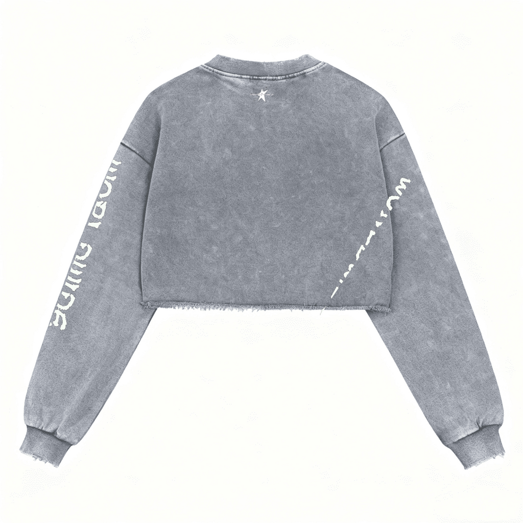 Stolo Clothing Co STARCHILD X WORLD WIDE Distressed Sun Faded Heavyweight Long Sleeve Crop Tee