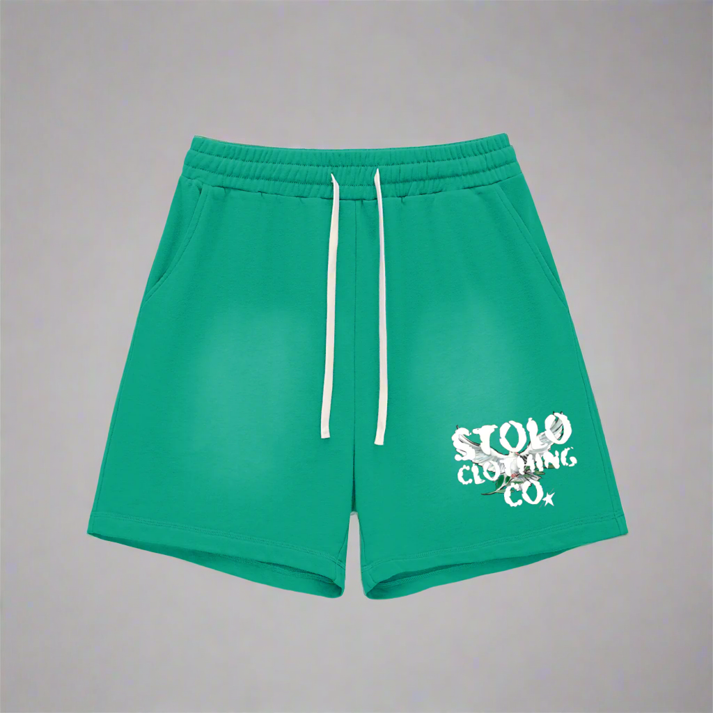 Stolo Clothing Co Birdies Sun Faded Raw Edge Cotton Shorts