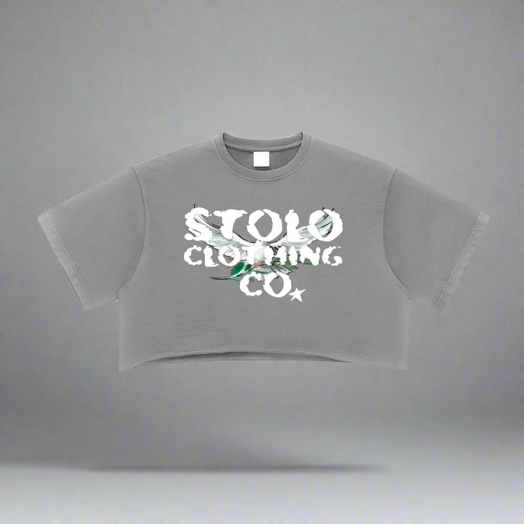 Stolo Clothing Co Birdies Snow Washed Raw Edge Crop Top Tee