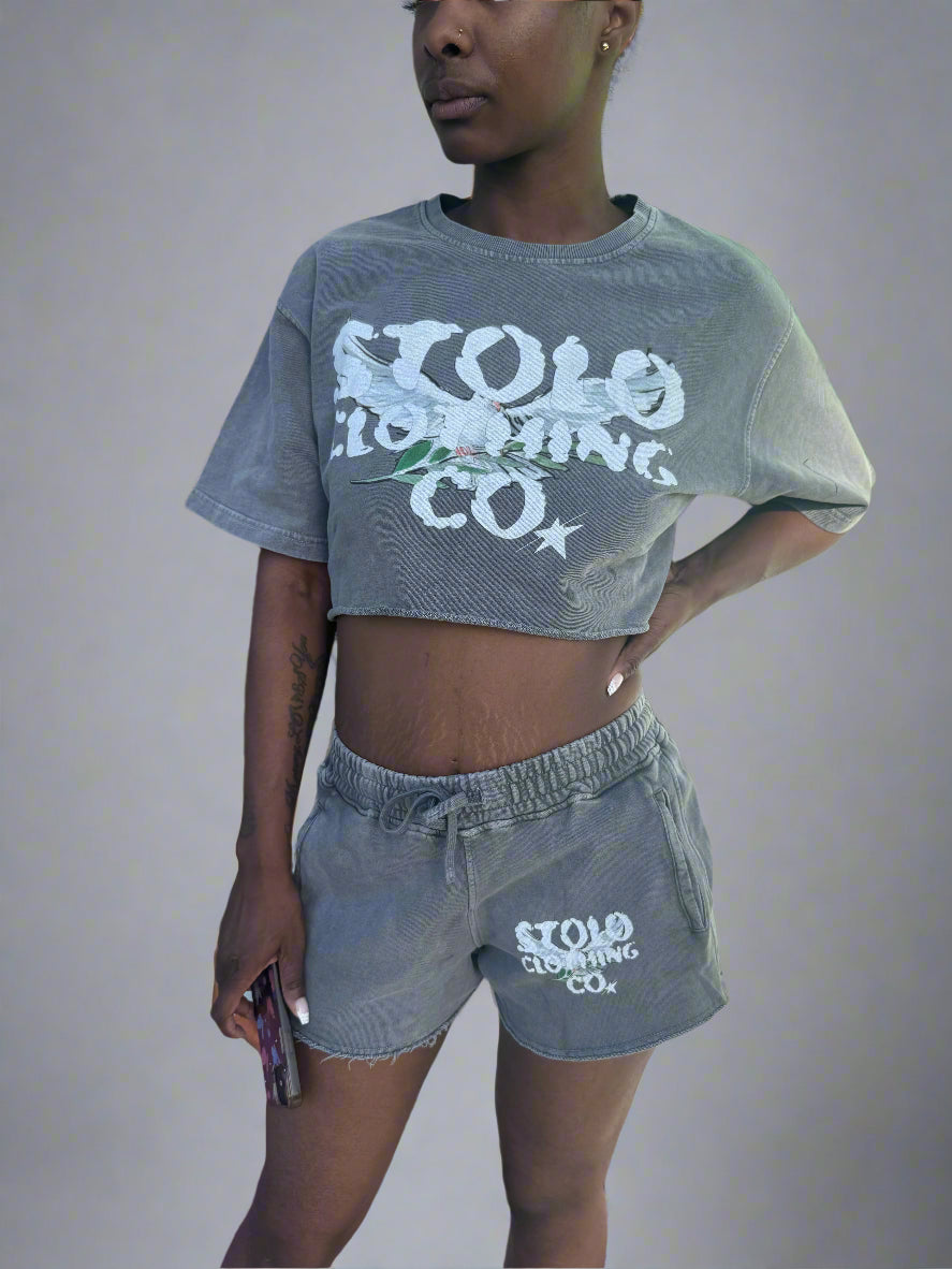 Stolo Clothing Co Birdies Snow Washed Raw Edge Crop Top Tee