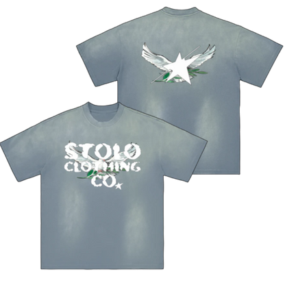 Stolo Clothing Co Birdies Monkey Washed Distressed Tee [PINK & BLUE]