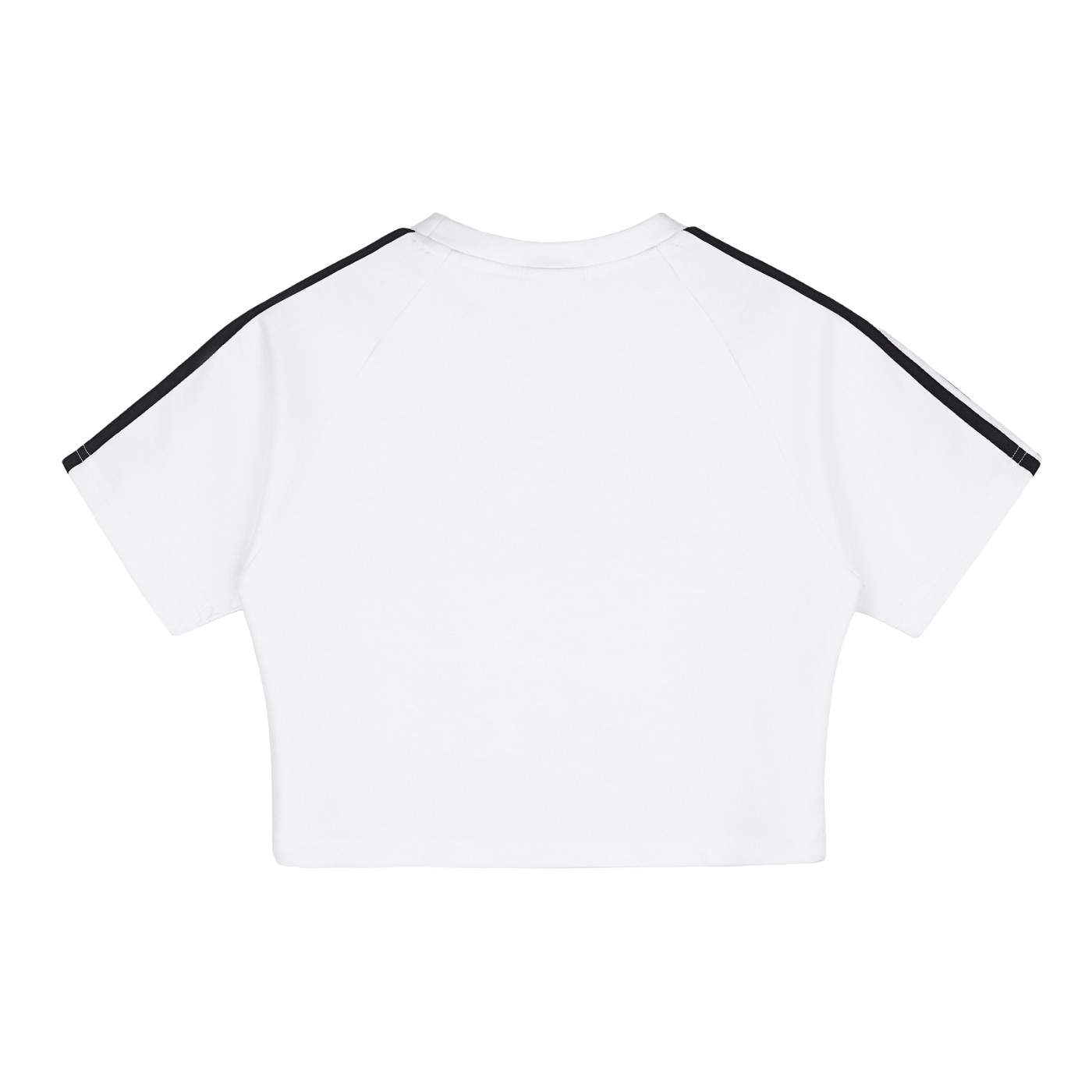Stolo Clothing Co Essentials Taped Cooling Performance Crop Top Tee