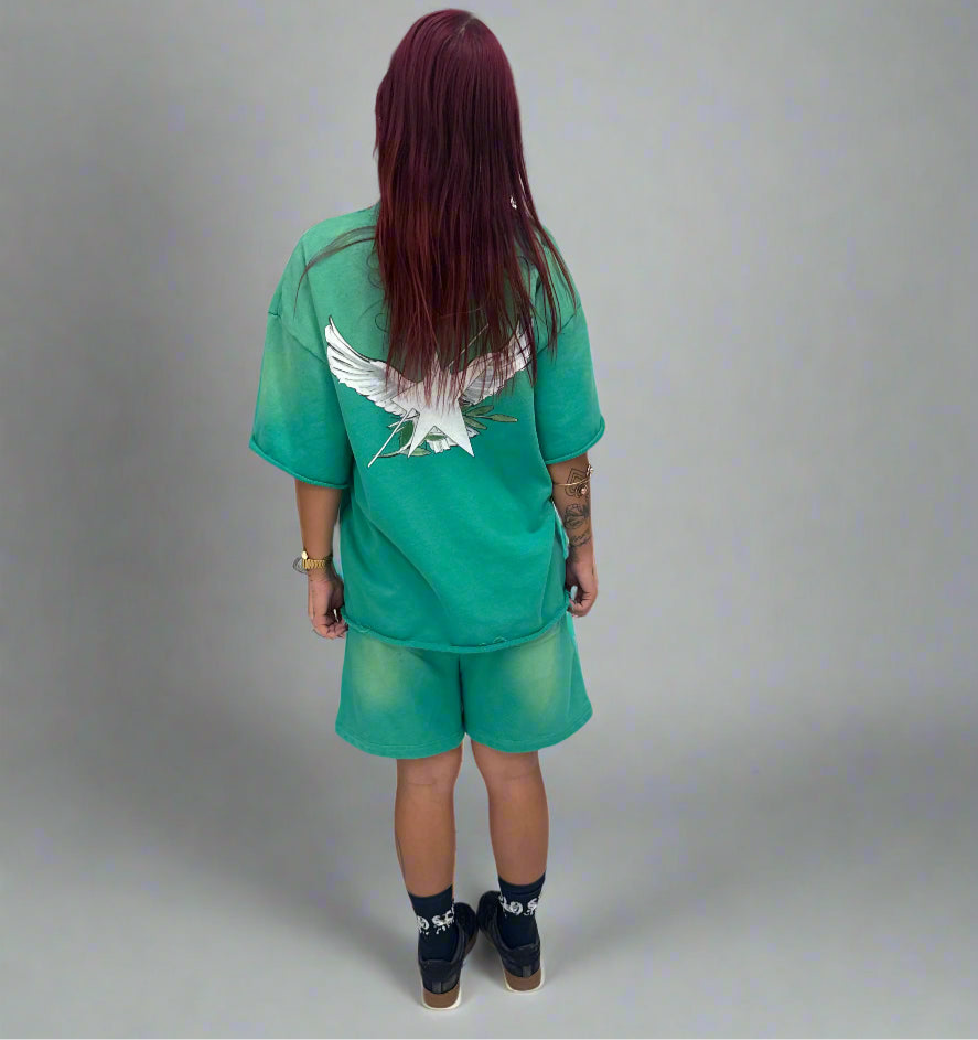 Stolo Clothing Co Birdies Sun Faded Raw Edge Cotton Shorts