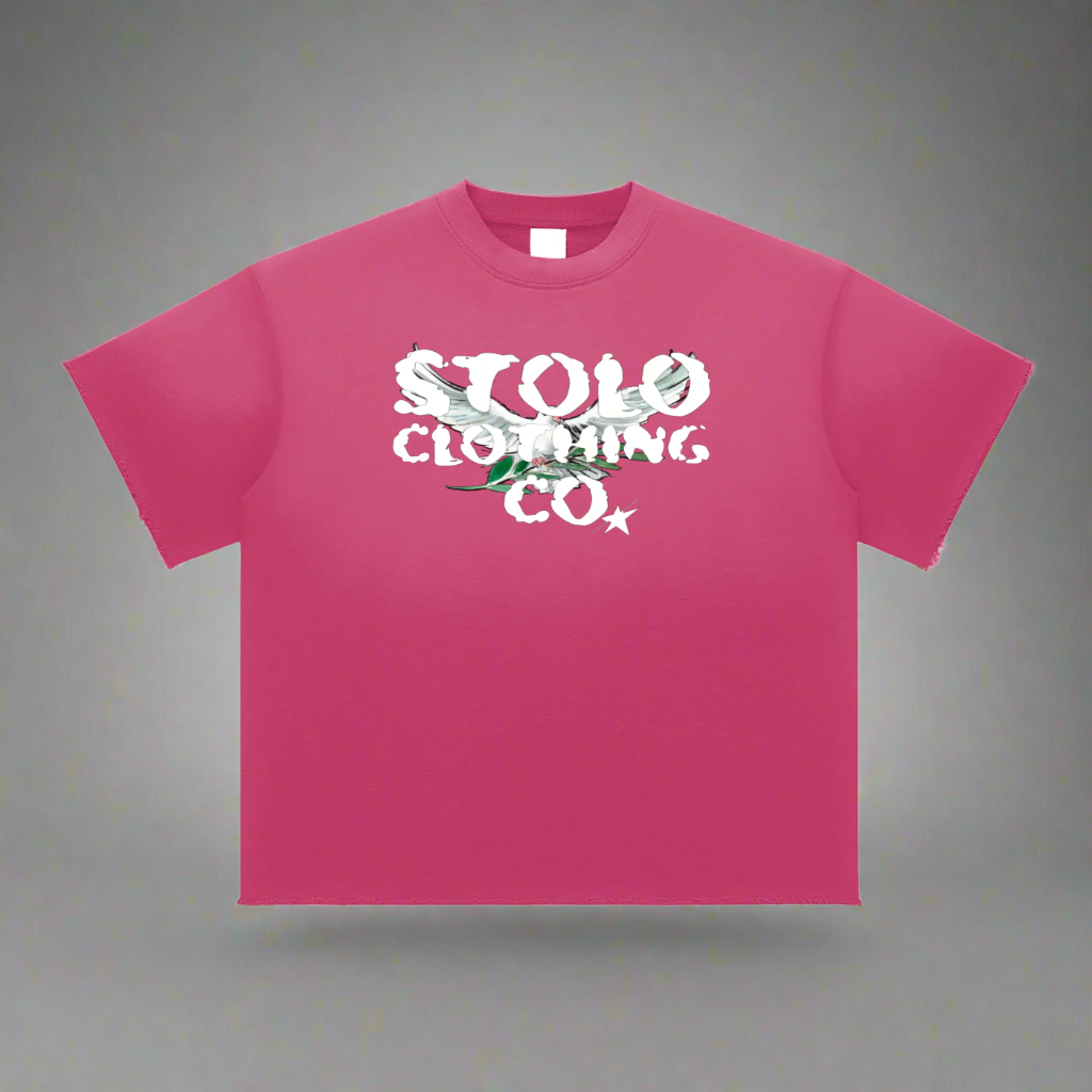 Stolo Clothing Co Birdies Sun Faded Raw Edge Tee