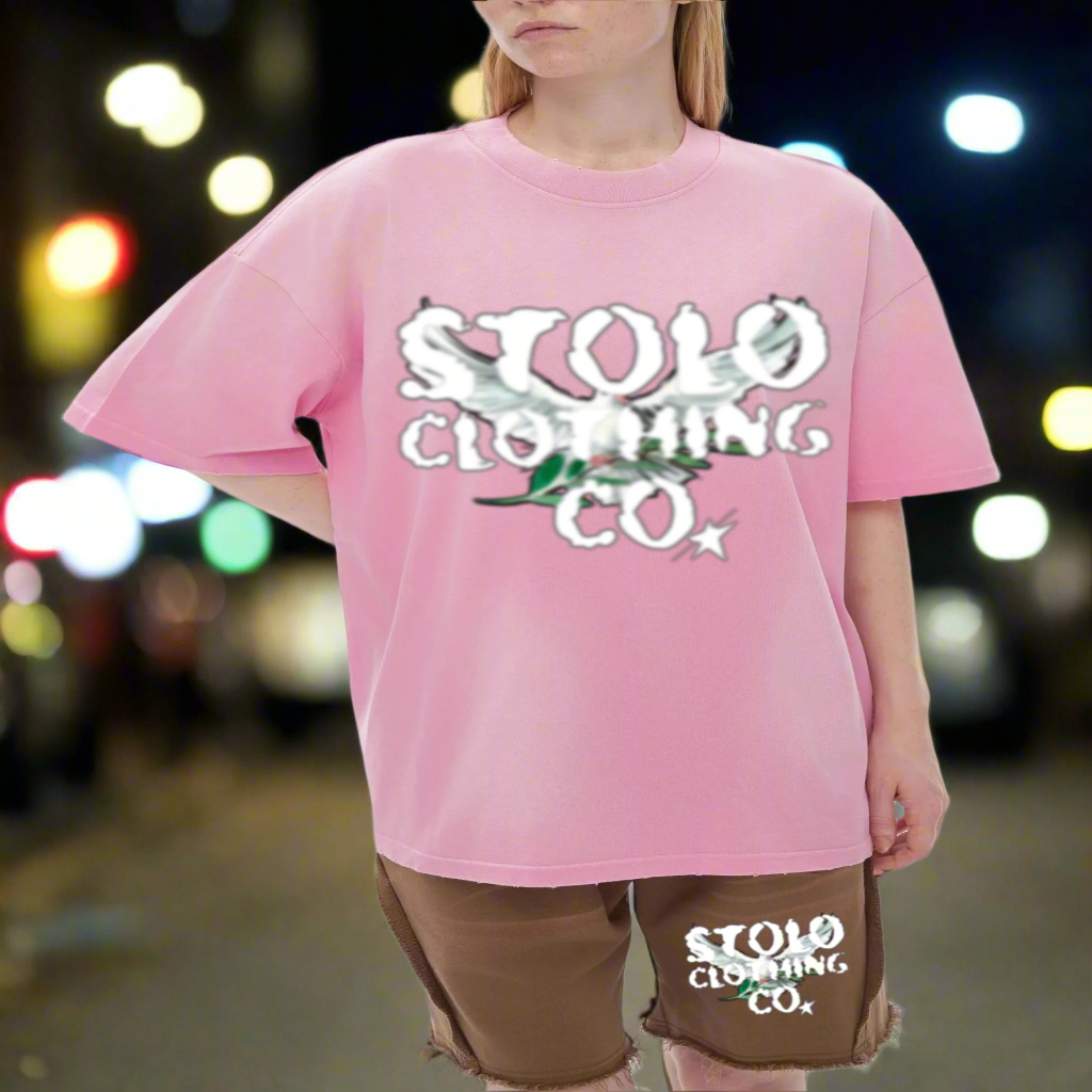 Stolo Clothing Co Birdies Monkey Washed Distressed Tee [PINK & BLUE]