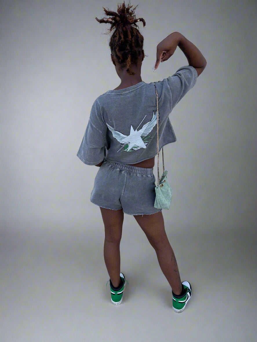 Stolo Clothing Co Birdies Snow Washed Raw Edge Crop Top Tee