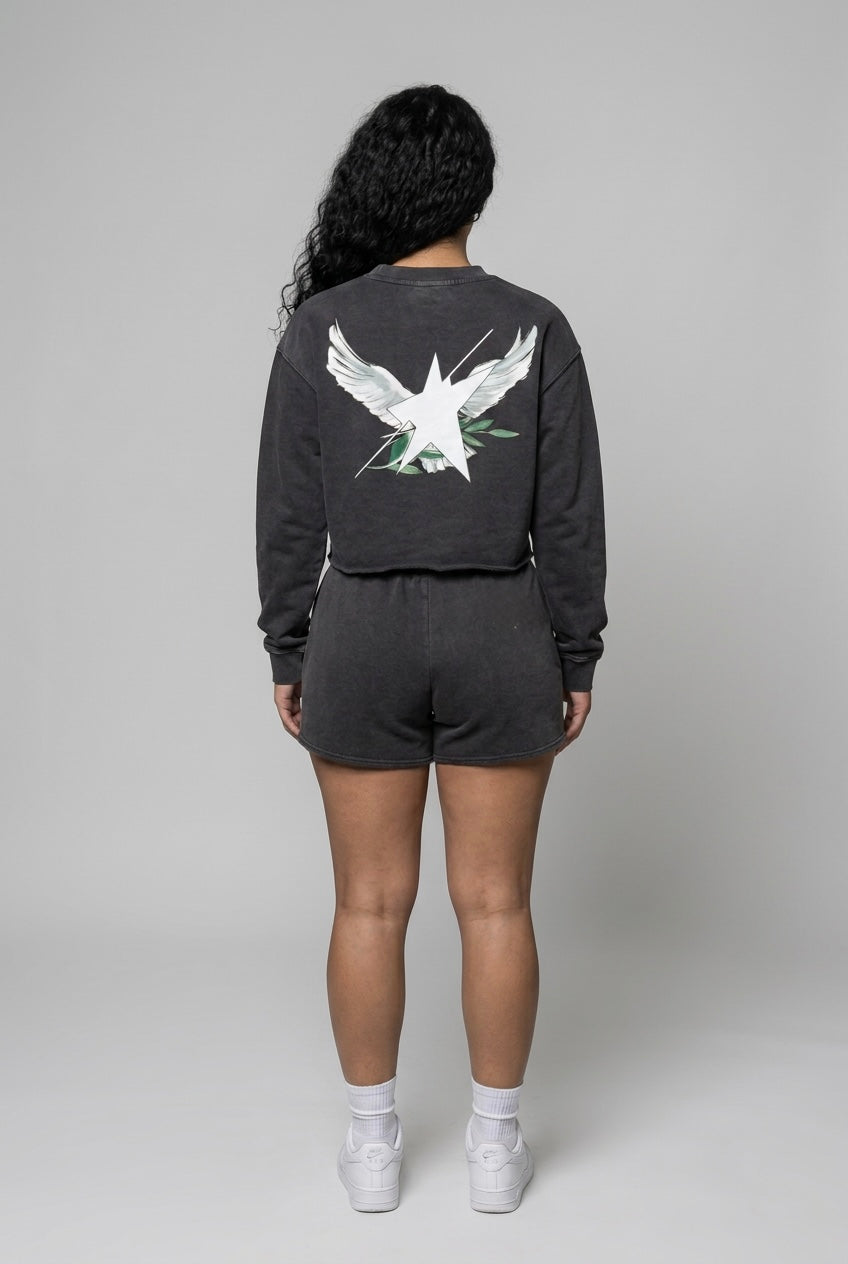 Stolo Clothing Co Birdies Raw-Edge Washed Cropped Tee (380GSM)