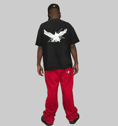 Stolo Clothing Co Birdies Minimalistic Hand-Frayed Sunfaded Tee [ BLACK , PINK & BLUE ]