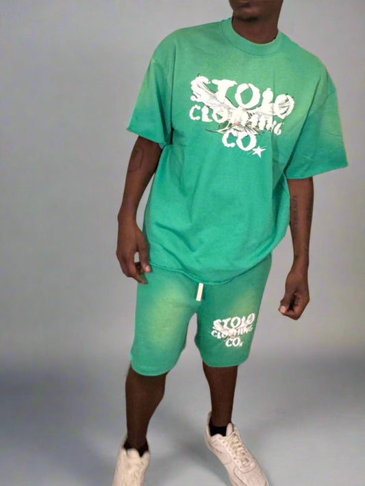 Stolo Clothing Co Birdies Sun Faded Raw Edge Tee