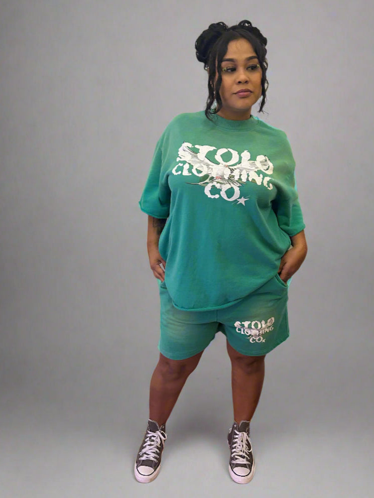 Stolo Clothing Co Birdies Sun Faded Raw Edge Tee