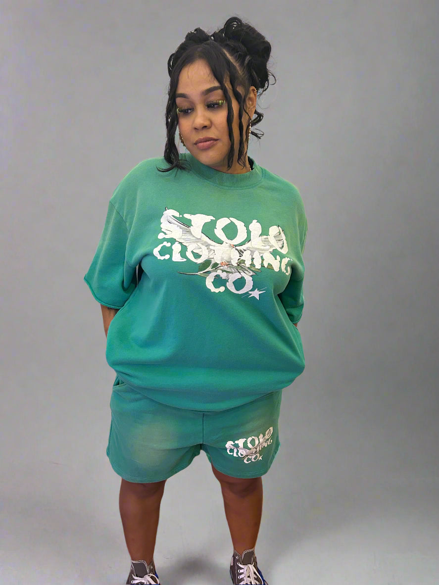 Stolo Clothing Co Birdies Sun Faded Raw Edge Cotton Shorts