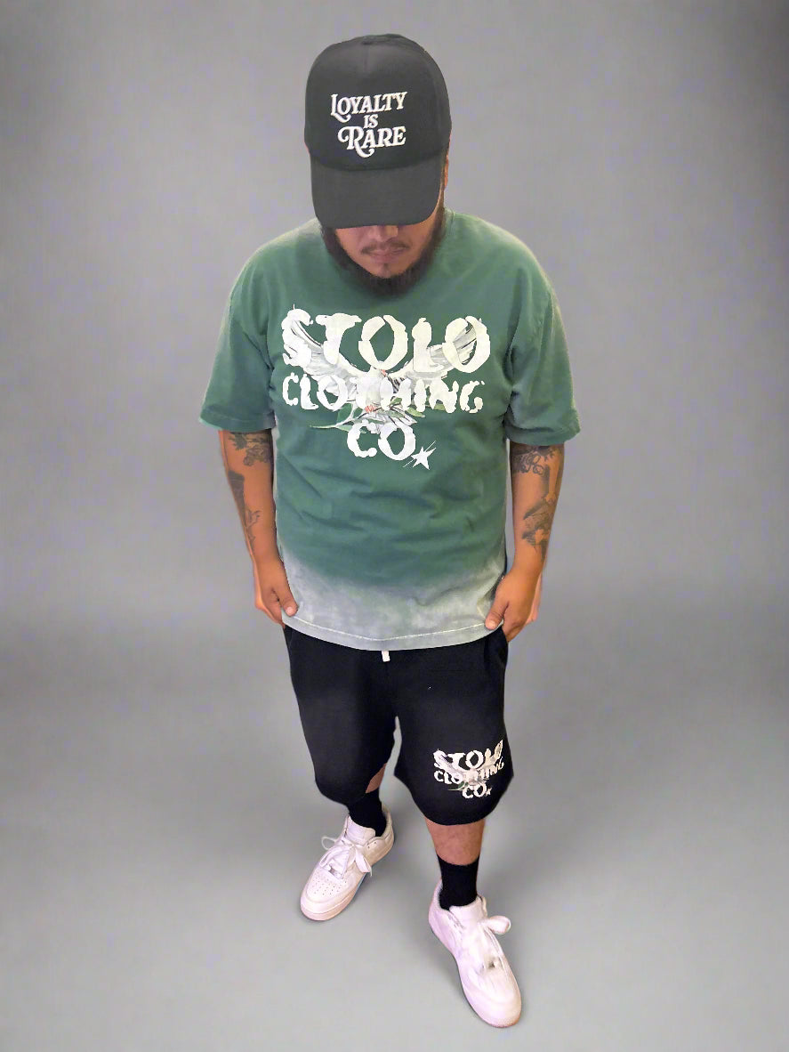 Stolo Clothing Co Birdies Sun Faded Raw Edge Cotton Shorts