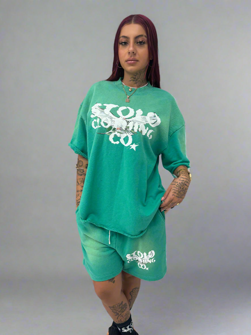 Stolo Clothing Co Birdies Sun Faded Raw Edge Tee