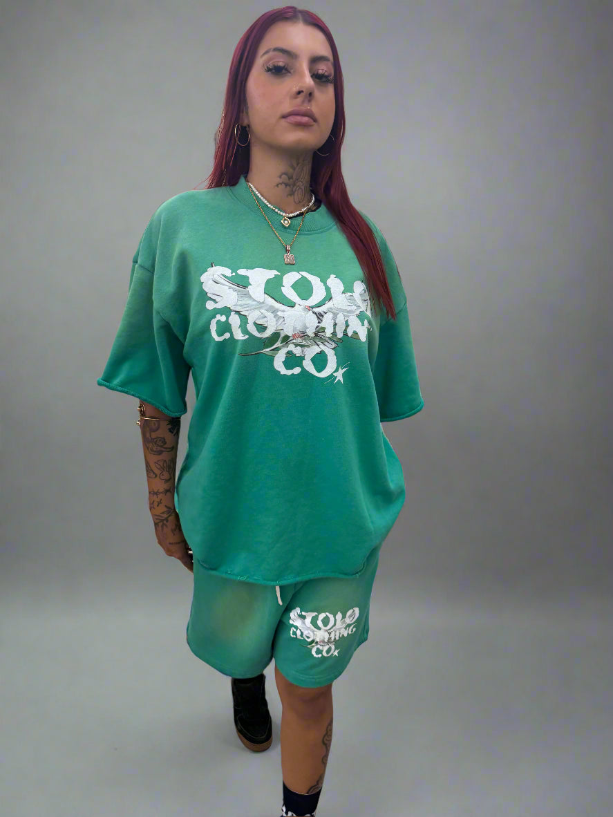 Stolo Clothing Co Birdies Sun Faded Raw Edge Cotton Shorts