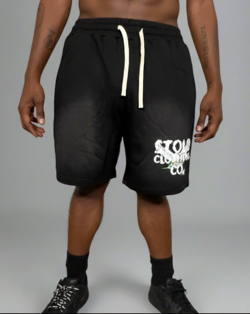 Stolo Clothing Co Birdies Sun Faded Raw Edge Cotton Shorts