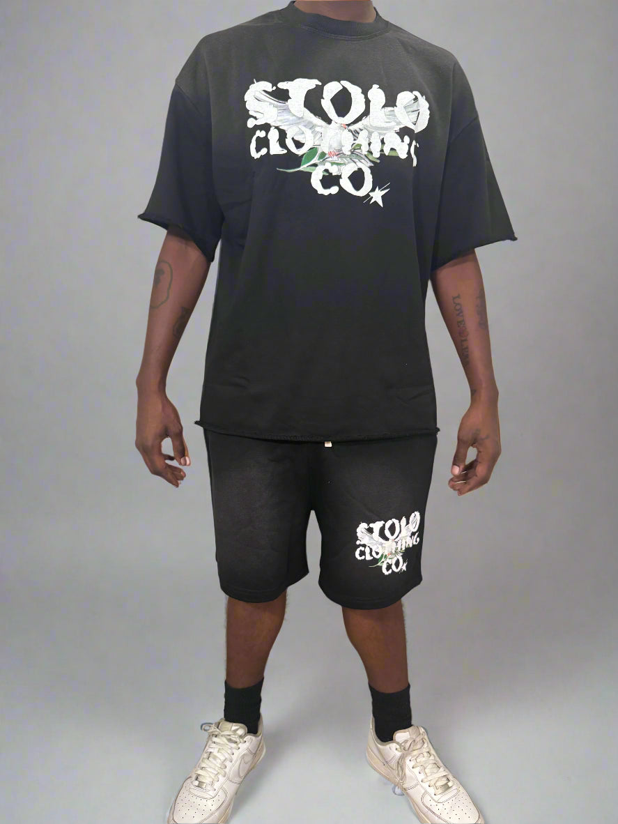 Stolo Clothing Co Birdies Sun Faded Raw Edge Cotton Shorts