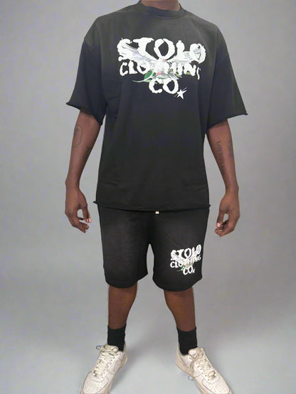 Stolo Clothing Co Birdies Sun Faded Raw Edge Tee
