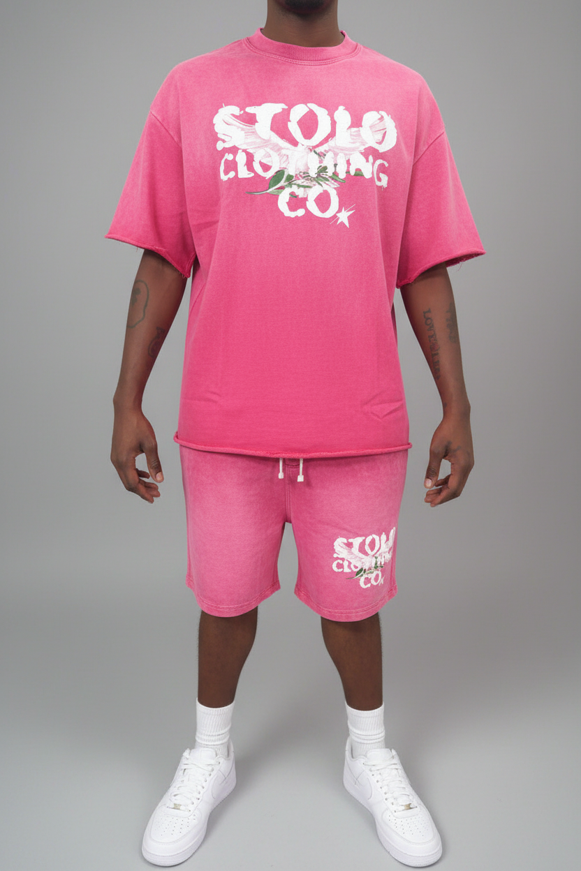 Stolo Clothing Co Birdies Sun Faded Raw Edge Tee