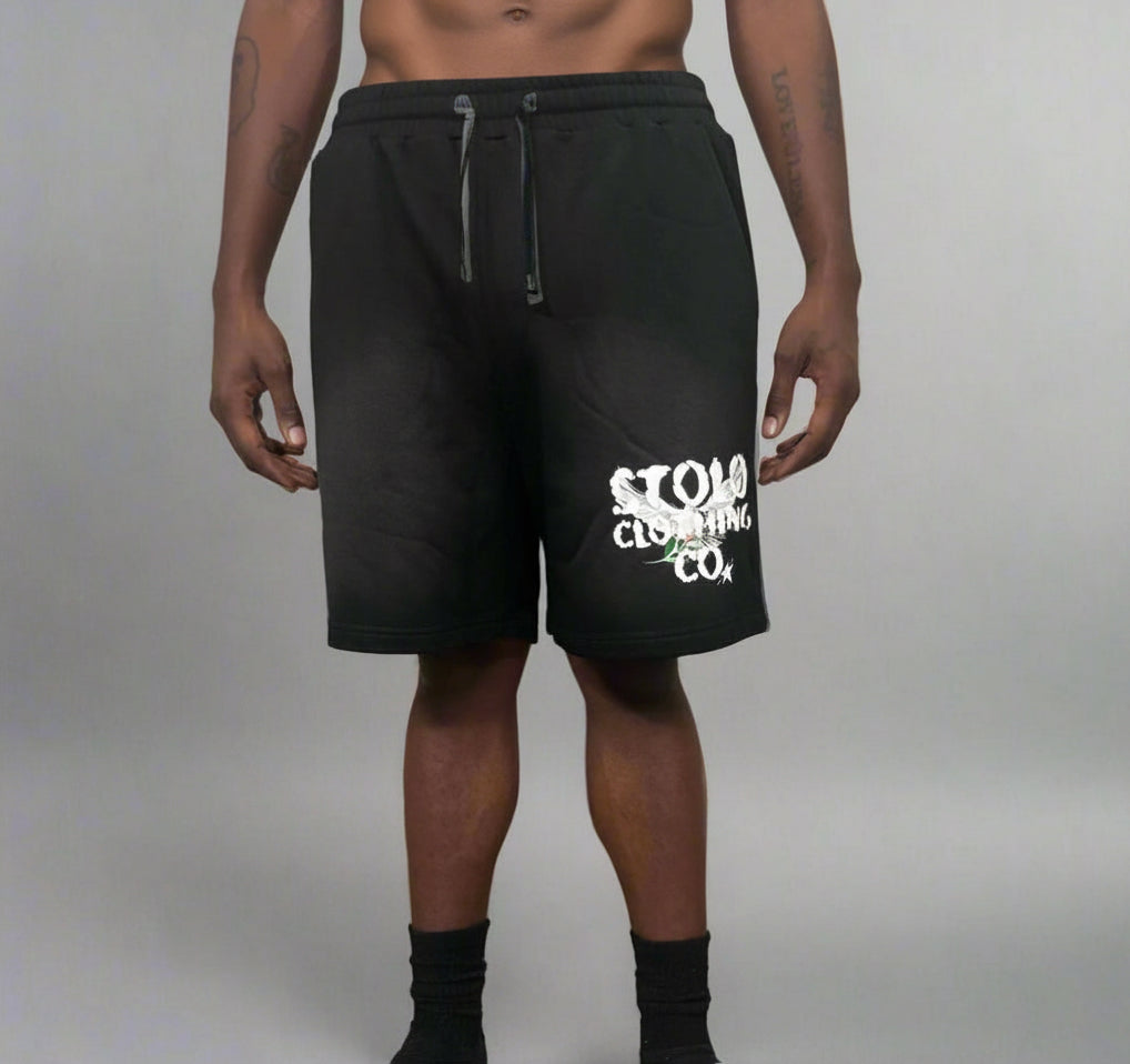 Stolo Clothing Co Birdies Sun Faded Raw Edge Cotton Shorts