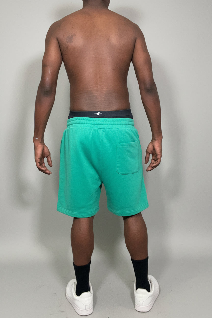 Stolo Clothing Co Birdies Sun Faded Raw Edge Cotton Shorts