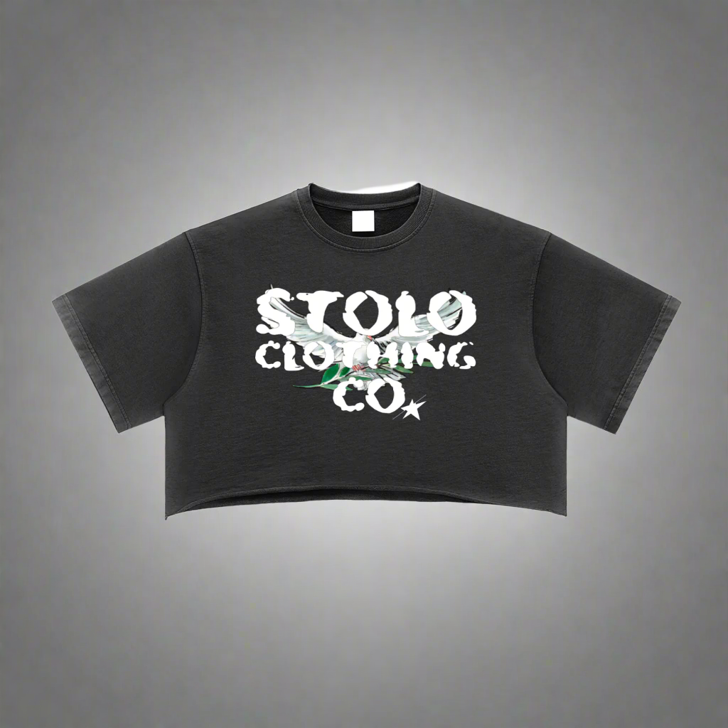 Stolo Clothing Co Birdies Snow Washed Raw Edge Crop Top Tee