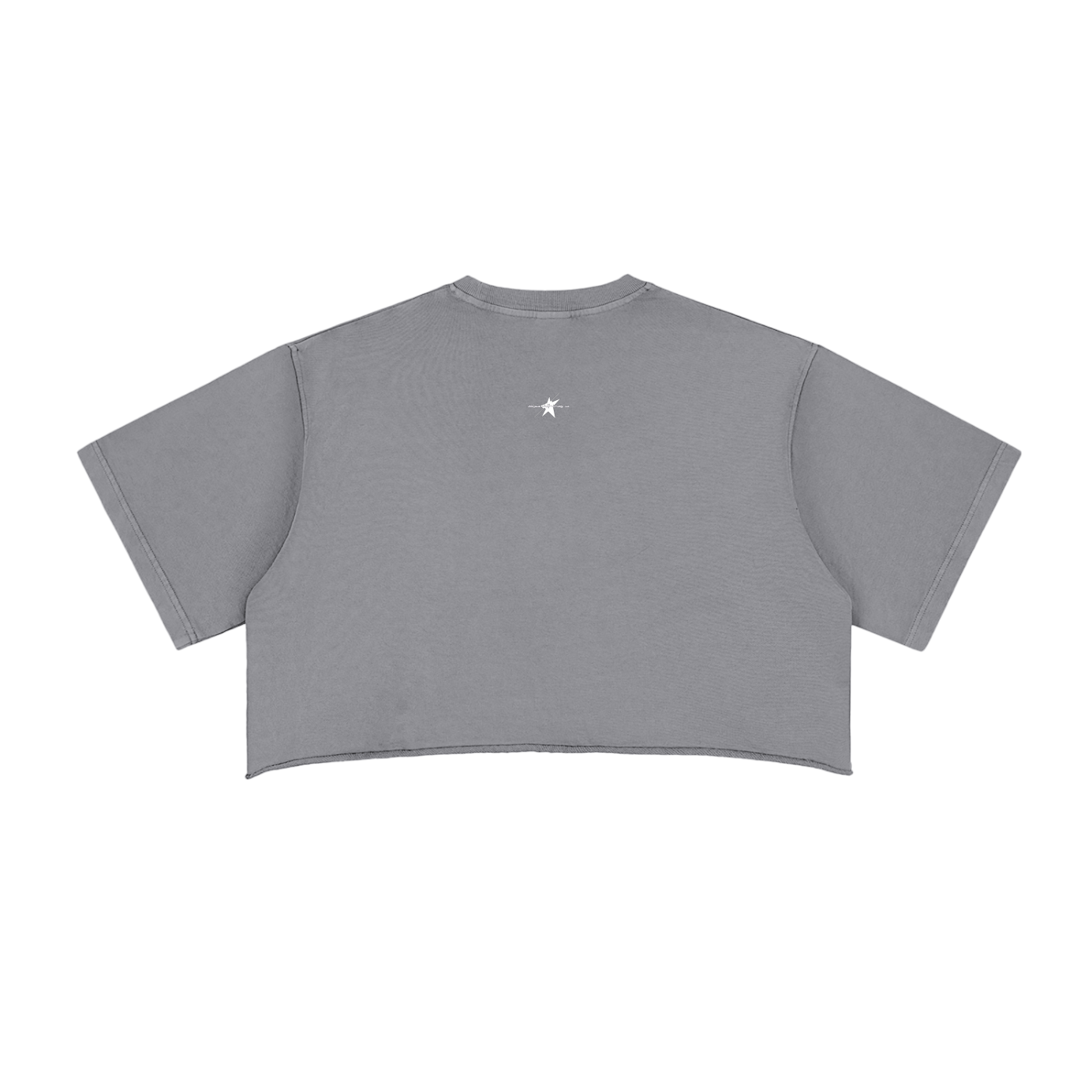 Stolo Clothing Co STARCHILD Snow Washed Raw Edge Crop Top Tee