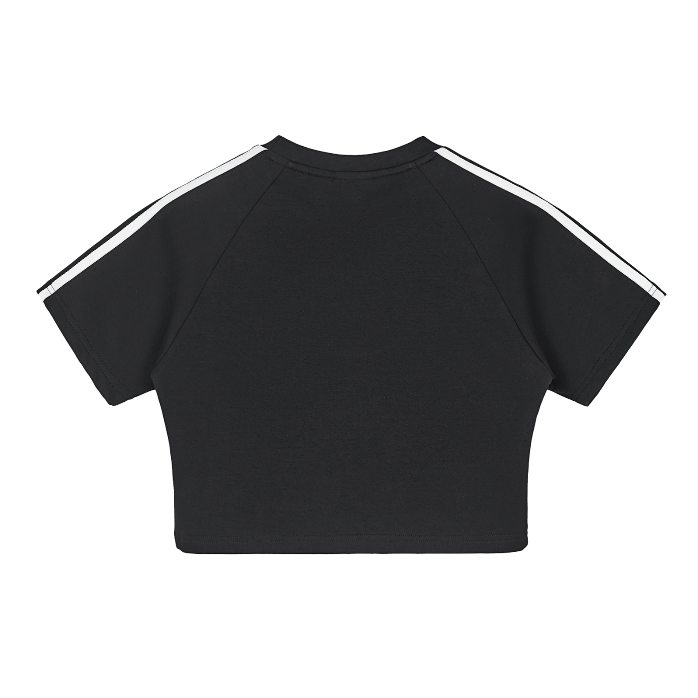 Stolo Clothing Co Essentials Taped Cooling Performance Crop Top Tee