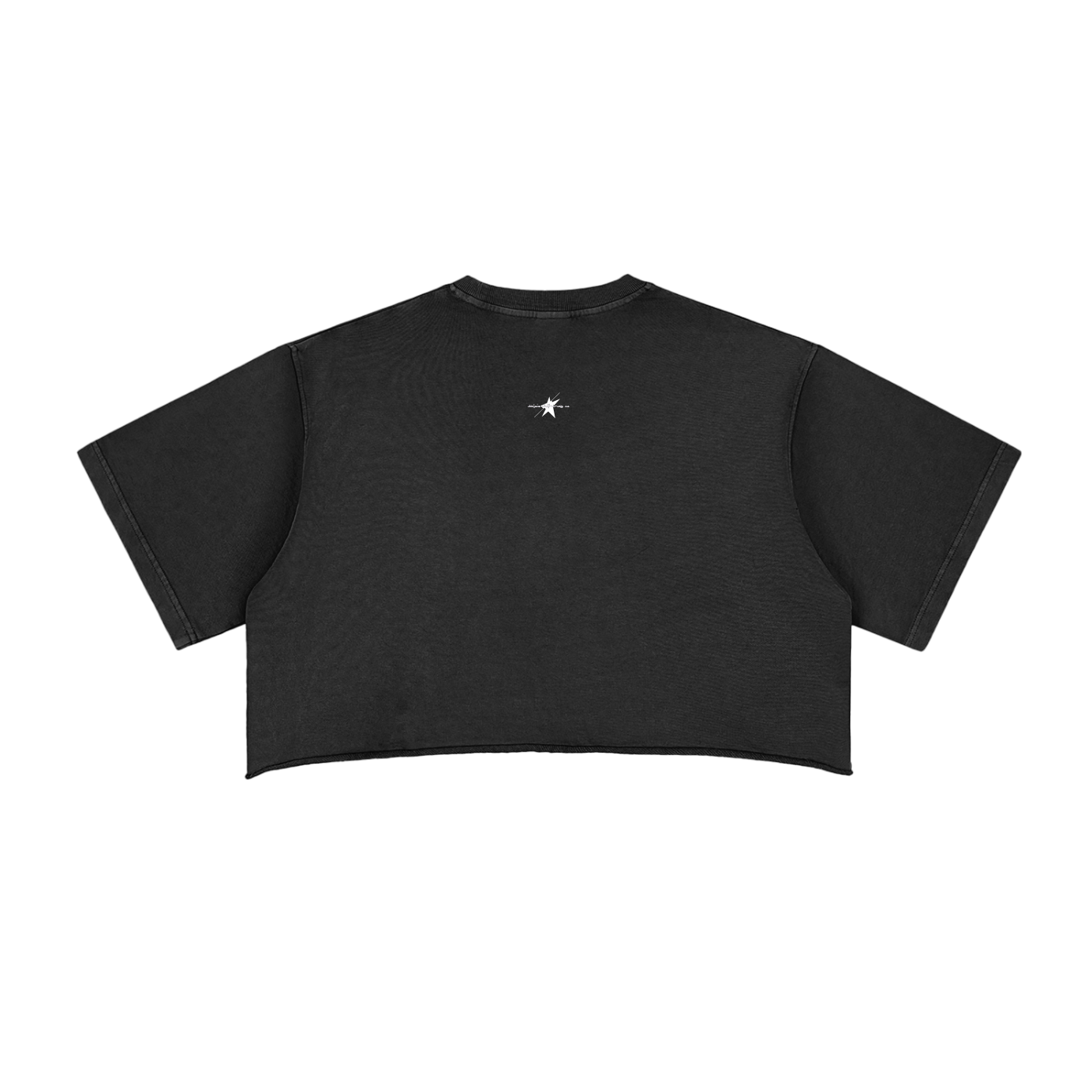Stolo Clothing Co STARCHILD Snow Washed Raw Edge Crop Top Tee