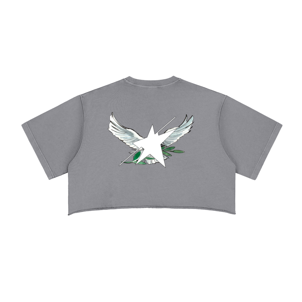 Stolo Clothing Co Birdies Snow Washed Raw Edge Crop Top Tee