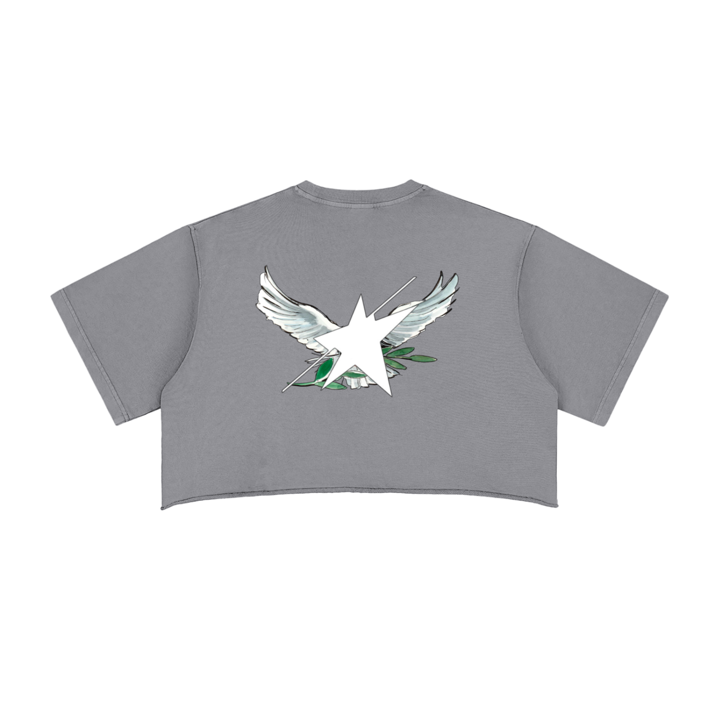 Stolo Clothing Co Birdies Snow Washed Raw Edge Crop Top Tee