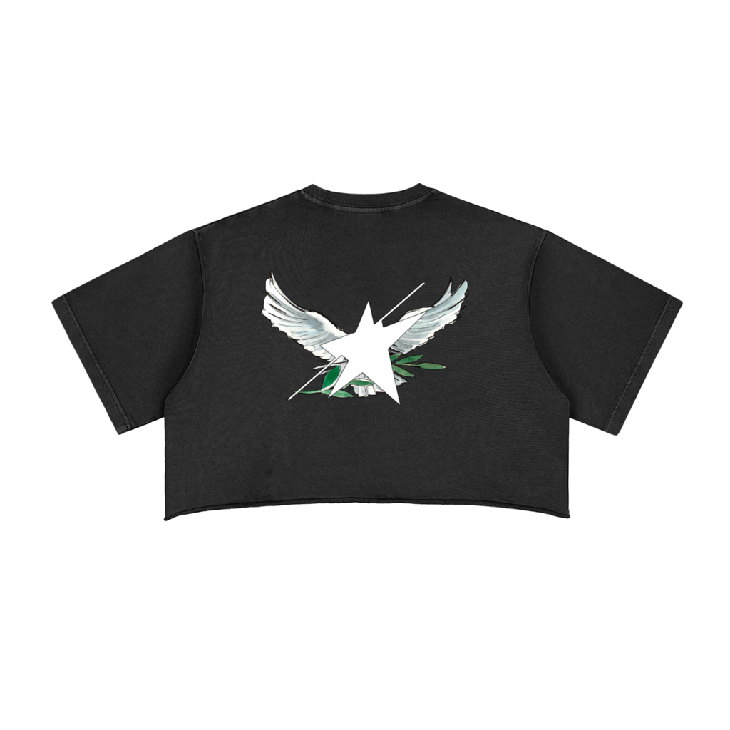 Stolo Clothing Co Birdies Snow Washed Raw Edge Crop Top Tee