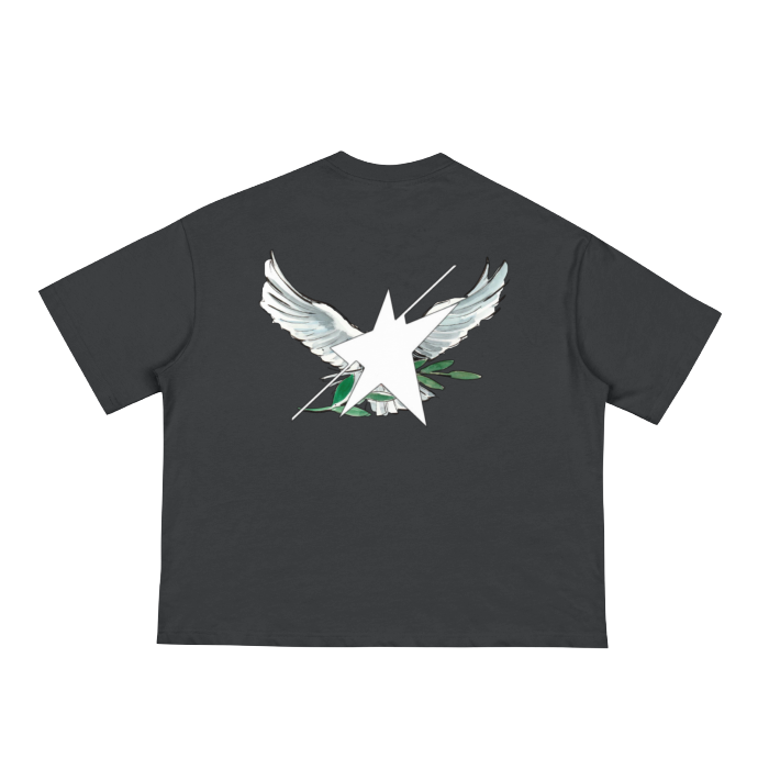 birdies,stolo clothing co,boxy,crop